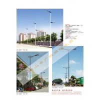 专业路灯、路灯头、路灯杆,道路照明路灯