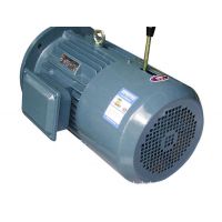 ƶֱ첽綯YEJ2-200L1-6 18.5KW6