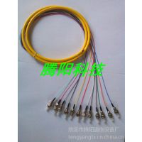 供应12芯单模束状尾纤 SC-SC单模光纤跳线