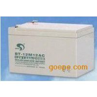 BT-HSE200-12 Ǧά12V200AH