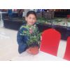 żҸDiy̦޺΢DiyTDiy3DģDiyӳ
