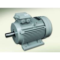 供應(yīng) 上海德東YE2三相異步電動(dòng)機(jī)(YE2-132S-6 B5)3KW 6級(jí)