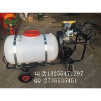 润华柴油打药机 悬挂式果园喷药机 农用汽油动力喷雾机