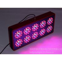 Ӧ300W ledֲ͸߹Ч 񲹹