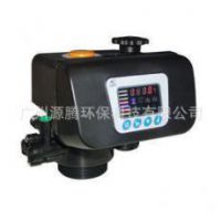 广东广州/福建福州自动过滤阀/自动软化阀/手动过滤阀/手动软化阀