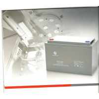 Ӧ㶫麣ʥSP12-100\\֤Ʒʥ12v100ah
