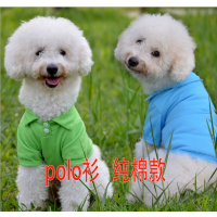 poloTװװСװ· ·ֻӦ