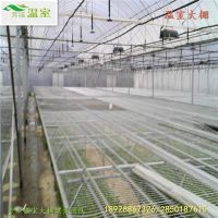 食用菌大棚搭建*食用菌大棚设计*食用菌大棚造价