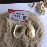 鼎越矿产批发儿童游乐园专用无尘免搭理的天然沙子 圆粒无尘天然海沙