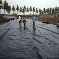 pe复合土工膜、复合土工膜、山东金驰华易