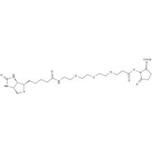 ṩƷ Biotin-PEG3-N3 945633-30-7СPEG