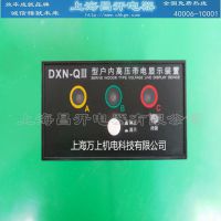 DXN-10T(Q)高压带电显示器GSN-10_价格_图片_简介