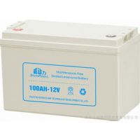 12V65AH۸