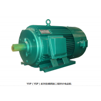 YVF2YVPϵбƵ첽綯YVF2-200L2-6-22KW