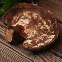 紫灵芝价格 紫芝的批发厂家 紫芝泡水的作用短柄紫灵芝种植栽培技术 山东紫灵芝价格 紫灵芝价格 紫芝的批发厂家 紫芝泡水的作用短柄紫灵芝种植栽培技术 山东紫灵芝价格