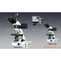 供应复消型 LW200-4JFT/B  金相显微镜