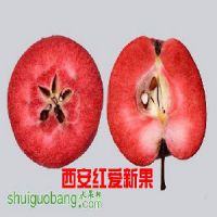 ʺƻ