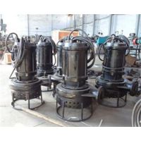 40ZJQ-S19Ǳˮ