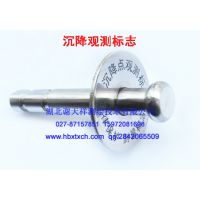 大桥墩身沉降观测标（标牌直埋式）cj-6