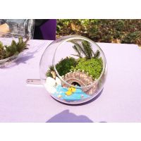 ϺDiy̦޺΢DiyTDiy3DģDiyӳ