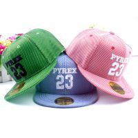 ƽññļ¿ͯñɴPYREX23ñ