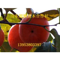  Ӧͼ 1~10ɽʿ