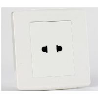 直銷(xiāo)天正電工墻壁開(kāi)關(guān)插座雅白兩孔插座T2-210
