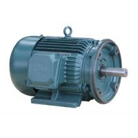  ŷIEC NEMA 0.75kW-375kW-2