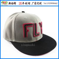 ñ2015괺ñ FLYĸ廨ñбƽñ