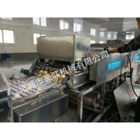供应豪联牌HLXD-6型全自动洗蛋机鸡鸭蛋高效洁净破蛋率极低