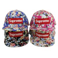 ൺP002SupremeͯñʱгñӶ
