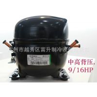 冷却设备专用压缩机-恩布拉克9213E制冷压缩机-广州实体店销售