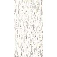 curly willow3form֬壬֬
