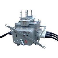 FZW28-12F/630户外高压智能真空负荷分界开关