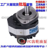 Åú·¢CBFC³ÝÂÖÓͱÿóɽÓͱóÝÂֱÿóɽ¸ßѹ³ÝÂÖÓͱÃҺѹ±Ã