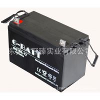 欧美非亚畅销品牌G-BATT冠臻正品电池 LG12V100AH