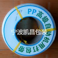 Ӧ ȫԶppô ͸ 