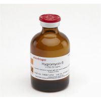 Thermo Hygromycin B (50 mg/mL) 10687010