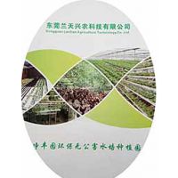 东莞兰天兴农农业科技有限公司