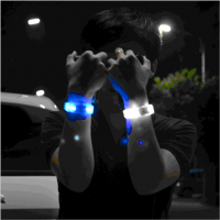 ֱ ݳLED LEDֻ  ֻ