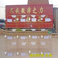 热卖加粗镀锌3层养殖鸽笼商品笼防锈鸽子笼信鸽配对笼肉鸽繁殖笼