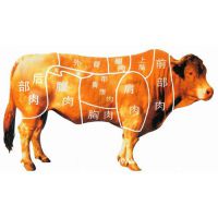 长期大量批发清真冷冻肉类食品加工厂牛碎肉