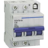 ̩ DZ47-60 1P D10A  СͶ· տ·