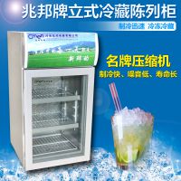 雪川小型商用/家用饮料柜 饮料展示柜冷藏展示柜饮料柜保鲜柜啤酒