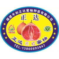 福建省平和县正达蜜柚种苗有限公司