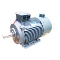 ӦYE2ϵ0.75kw-4첽綯