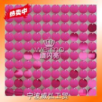  ׺Sequin panel