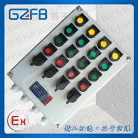 BXK51-T  Ǳ䶨 ӷ