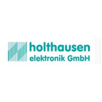 HOLTHAUSEN񶯼