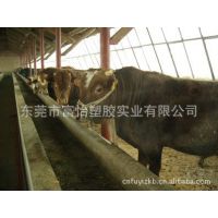 供应甘肃塑胶万通板 兰州塑胶万通板 武威塑胶万通板 厂家直销